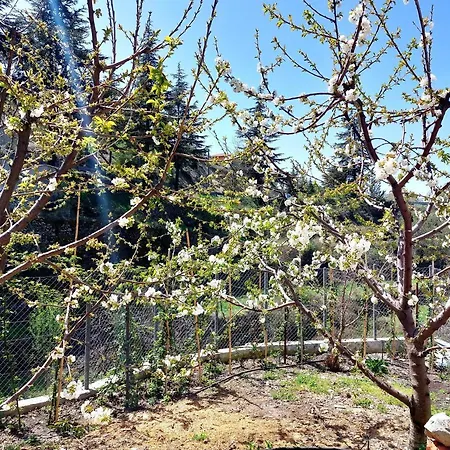 アパートホテル Agros Valley リマソール