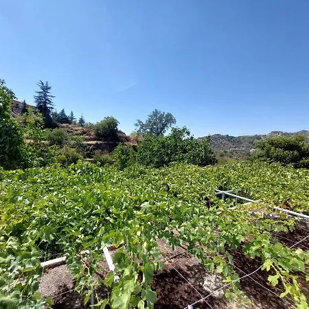 Agros Valley 4* לימסול