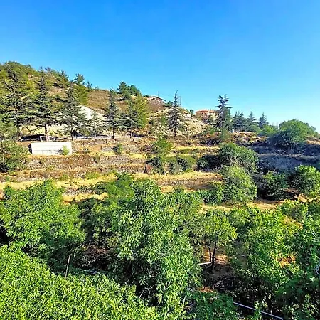 Agros Valley 4*