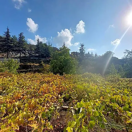 Апарт-отель Agros Valley