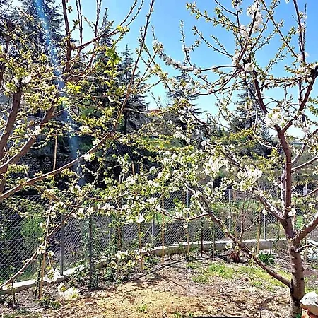 Agros Valley Апарт-отель Лимасол