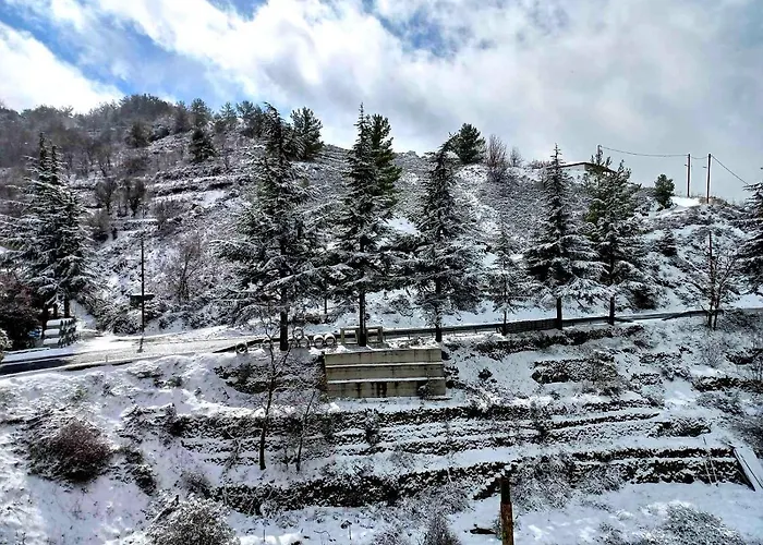 Ξενοδοχείο με διαμερίσματα Agros Valley 4*