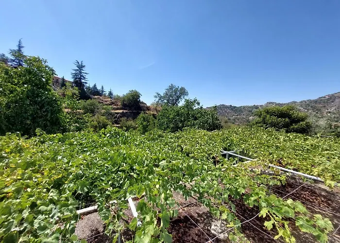 Agros Valley 4* Λεμεσός