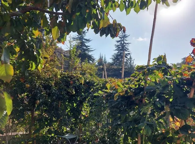 Agros Valley Aparthotel