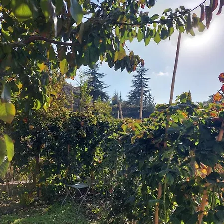 Agros Valley Apartahotel