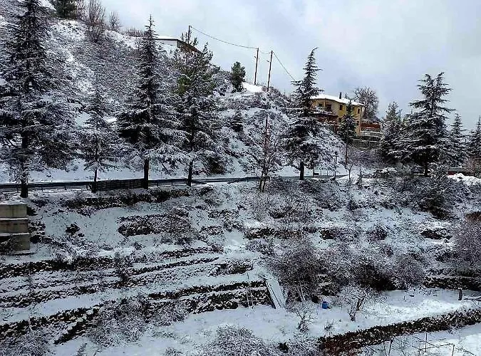 Agros Valley Aparthotel 4*