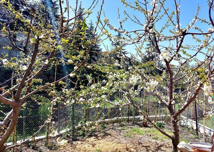Aparthotel Agros Valley Lemesos