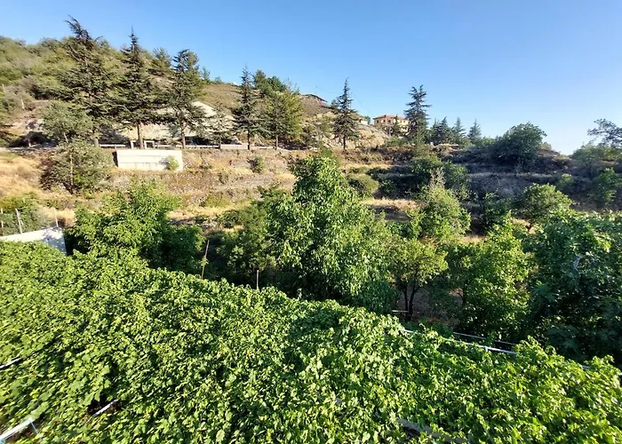 Agros Valley Aparthotel 4*